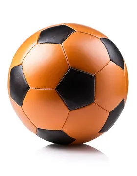 Team Logo