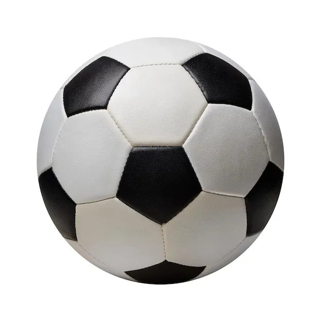 熊猫体育 高清体育直播示意图